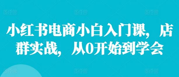 小红书电商小白入门课，店群实战，从0开始到学会