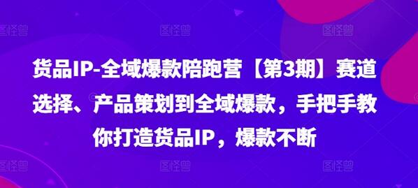 货品IP全域爆款陪跑营【第3期】赛道选择、产品策划到全域爆款，手把手教你打造货品IP，爆款不断