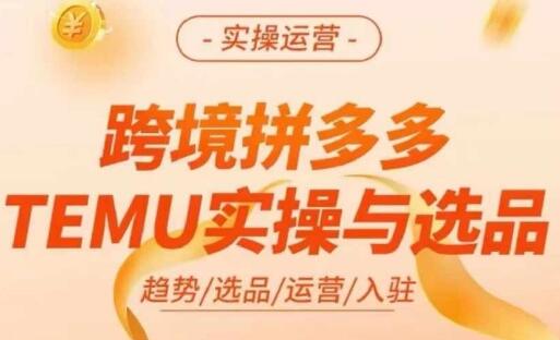 跨境拼多多TEMU实操与选品，多多temu跨境选品运营实操