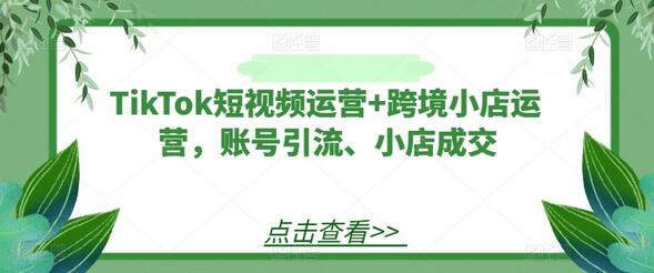 TikTok短视频运营+跨境小店运营，账号引流、小店成交