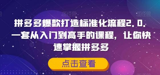 拼多多爆款打造标准化流程2.0，一套从入门到高手的课程，让你快速掌握拼多多