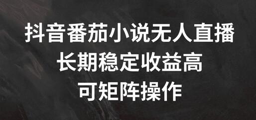 抖音番茄小说无人直播，长期稳定收益高，可矩阵操作