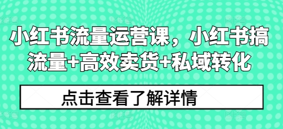 小红书流量运营课，小红书搞流量+高效卖货+私域转化