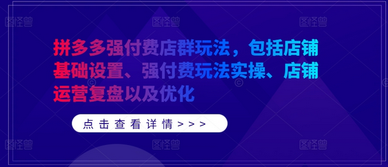 拼多多强付费店群玩法，包括店铺基础设置、强付费玩法实操、店铺运营复盘以及优化