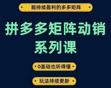 拼多多矩阵动销系列课，能持续盈利的多多矩阵，0基础也听得懂，玩法持续更新