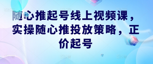 随心推起号线上视频课，实操随心推投放策略，正价起号