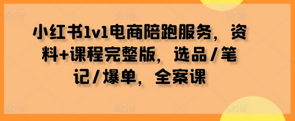 小红书1v1电商陪跑服务，资料+课程完整版，选品/笔记/爆单，全案课