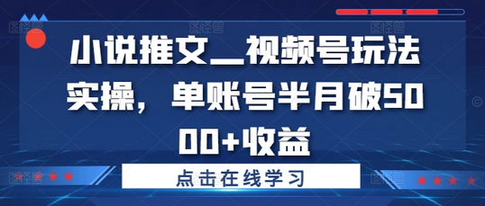 小说推文—视频号玩法实操，单账号半月破5000+收益