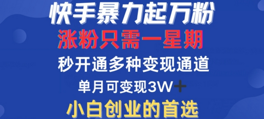 快手暴力起万粉，涨粉只需一星期，多种变现模式，直接秒开万合，单月变现过W