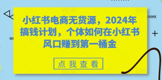 小红书电商无货源，2024年搞钱计划，个体如何在小红书风口赚到第一桶金