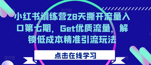 小红书训练营28天撕开流量入口第七期，Get优质流量，解锁低成本精准引流玩法