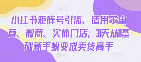 小红书矩阵号引流，适用于电商、微商、实体门店，30天从0基础新手蜕变成卖货高手