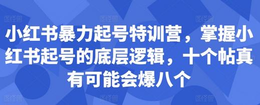 小红书暴力起号特训营，掌握小红书起号的底层逻辑，十个帖真有可能会爆八个