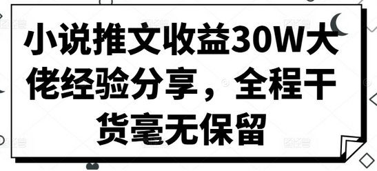 小说推文收益30W大佬经验分享，全程干货毫无保留