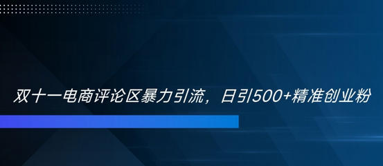 双十一电商评论区暴力引流，日引500+精准创业粉