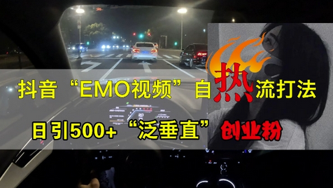 抖音EMO视频自热打法，日引500+“泛垂直”创业粉