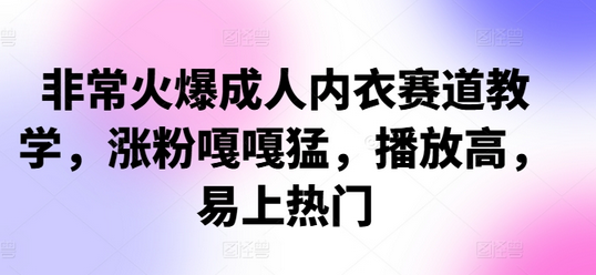 非常火爆成人内衣赛道教学，​涨粉嘎嘎猛，播放高，易上热门