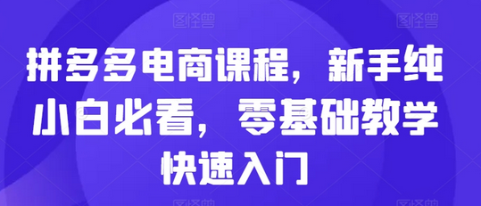 拼多多电商课程，新手纯小白必看，零基础教学快速入门