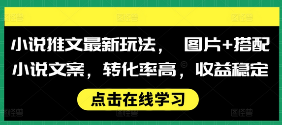 小说推文最新玩法， 图片+搭配小说文案，转化率高，收益稳定