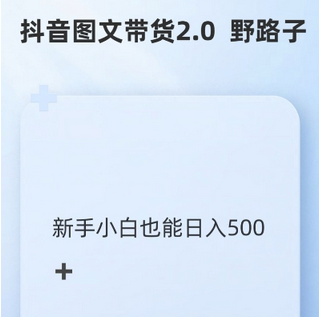 抖音图文带货野路子2.0玩法，暴力起号，单日收益多张，小白也可轻松上手