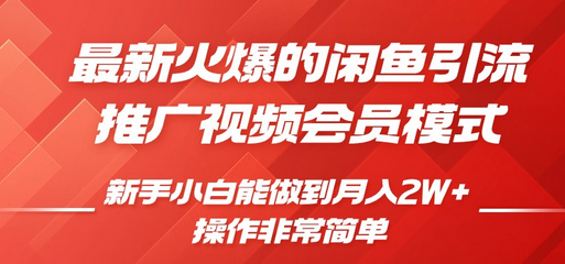 闲鱼引流推广影视会员，0成本就可以操作，新手小白月入过W+