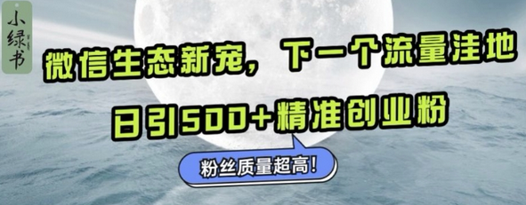 微信生态新宠小绿书：下一个流量洼地，日引500+精准创业粉，粉丝质量超高