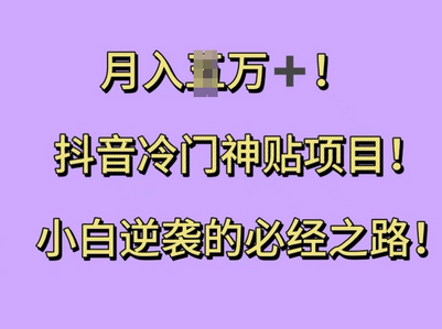 抖音冷门神贴项目，小白逆袭的必经之路，月入过W