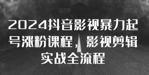 2024抖音影视暴力起号涨粉课程，影视剪辑搬运实战全流程