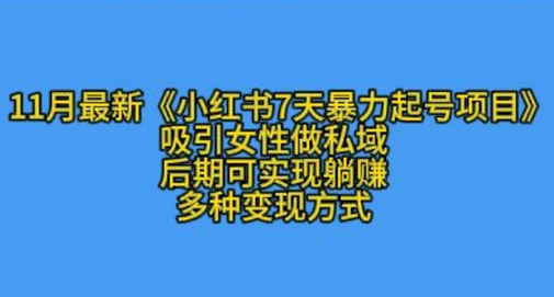 K总部落11月最新小红书7天暴力起号项目，吸引女性做私域