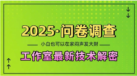 2025问卷调查最新工作室技术解密：一个人在家也可以闷声发大财，小白一天2张，可矩阵放大