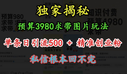 预算3980求带 图片玩法，单条日引流500+精准创业粉，私信根本回不完