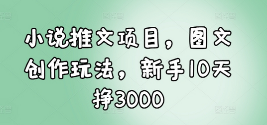 小说推文项目，图文创作玩法，新手10天挣3000